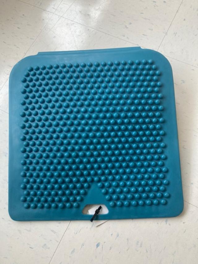 Wedge Wiggle Sit cushion Children's Assistive Technology Service (C.A