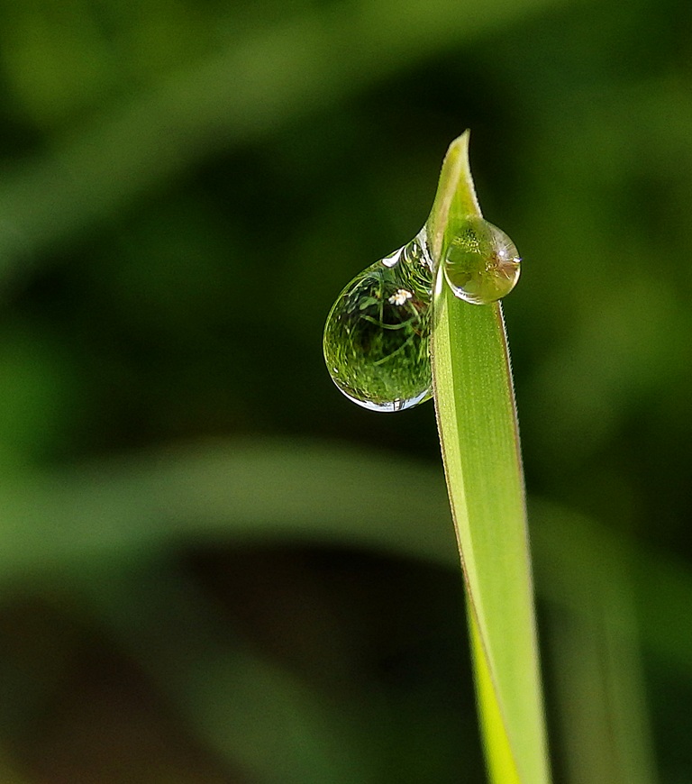 Gleichzeitigkeit des Ungleichzeitigen Vultureşti Page 2