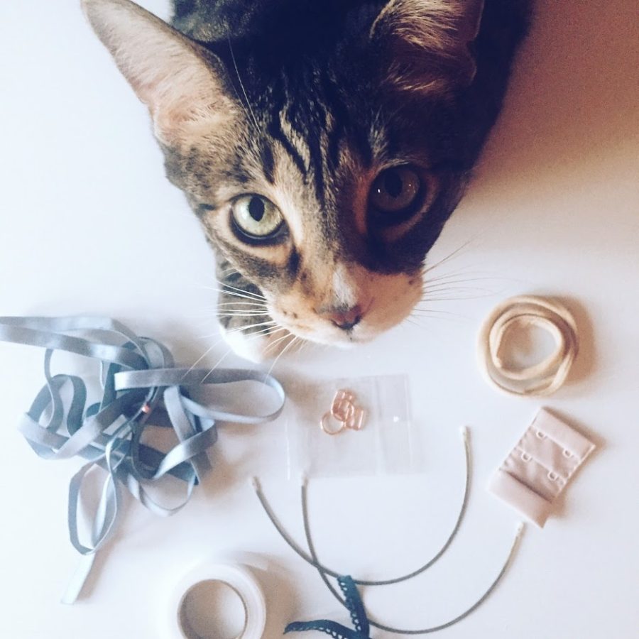 Tools Every BraMaker Needs At First Blush Patterns