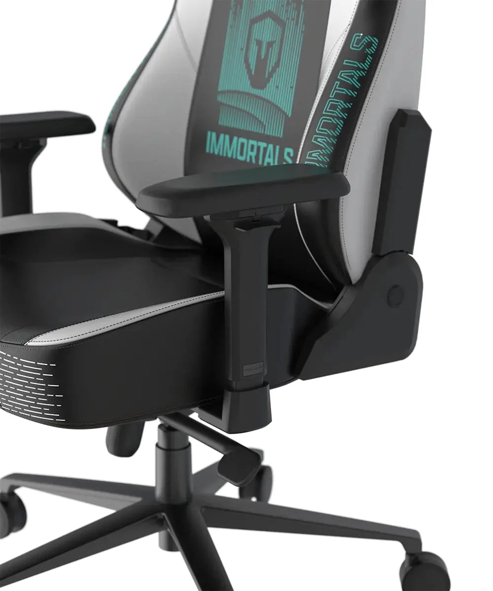 DXRacer Craft Pro Immortals Black/White, 2D Integrated Lumbar Support