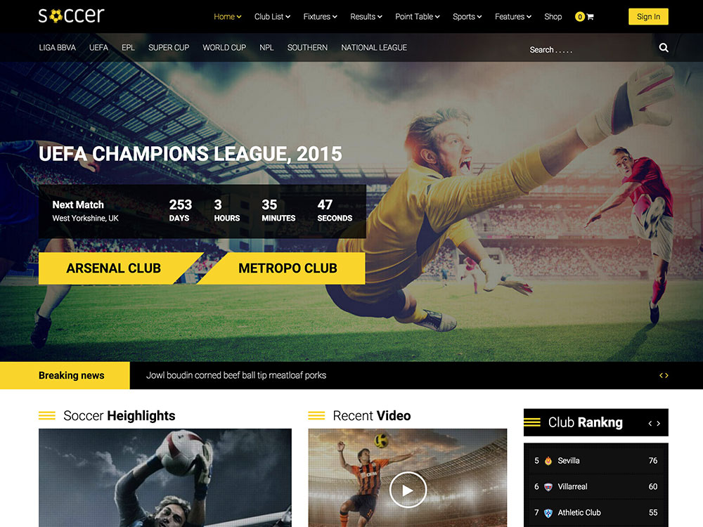 15+ Best Sports WordPress Themes 2020 aThemes