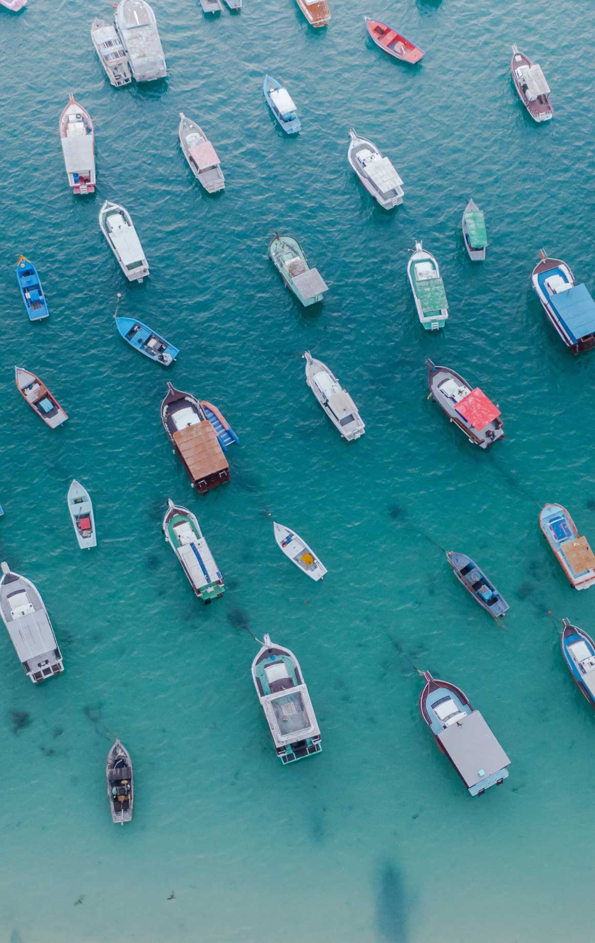 ATHENA CAPITAL Athena