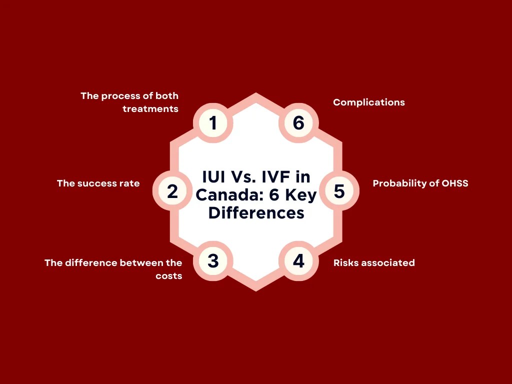 IUI Vs. IVF Which One is the Better Choice? Athena Law