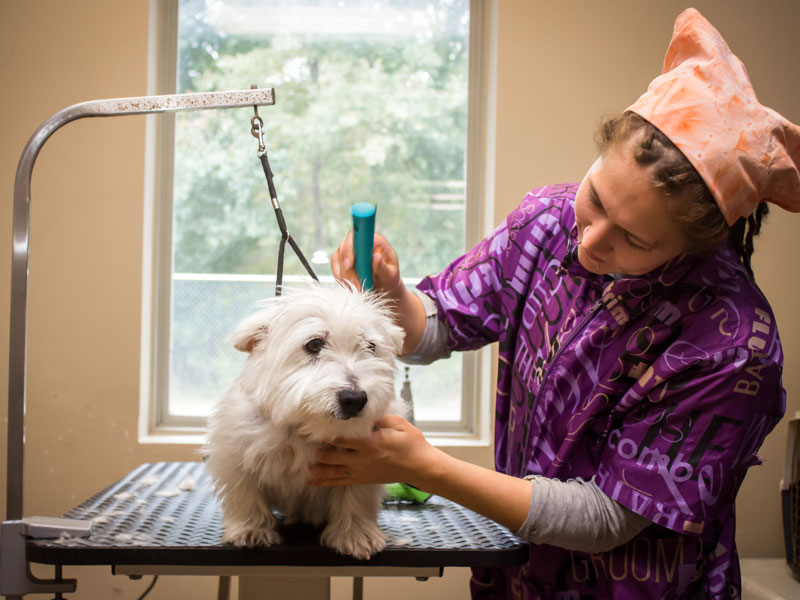 Athens Animal Clinic, PLLC Providing individualized wellness care for