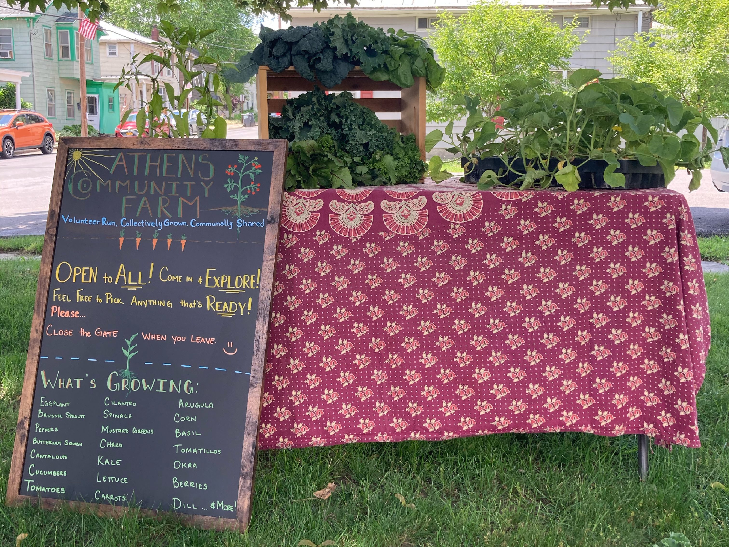 Athens Community Farm