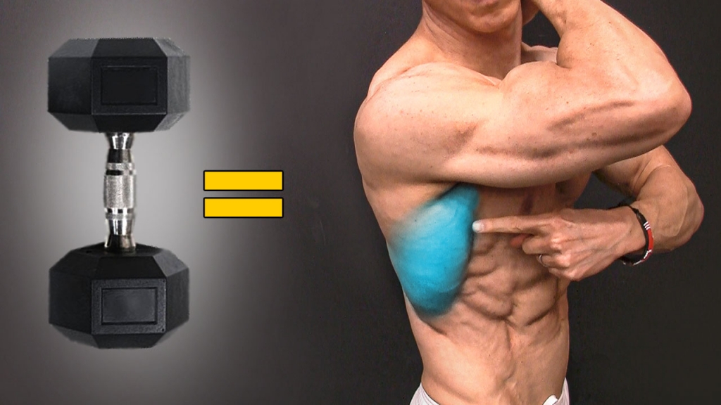 The BEST Dumbbell BACK Exercises ATHLEANX