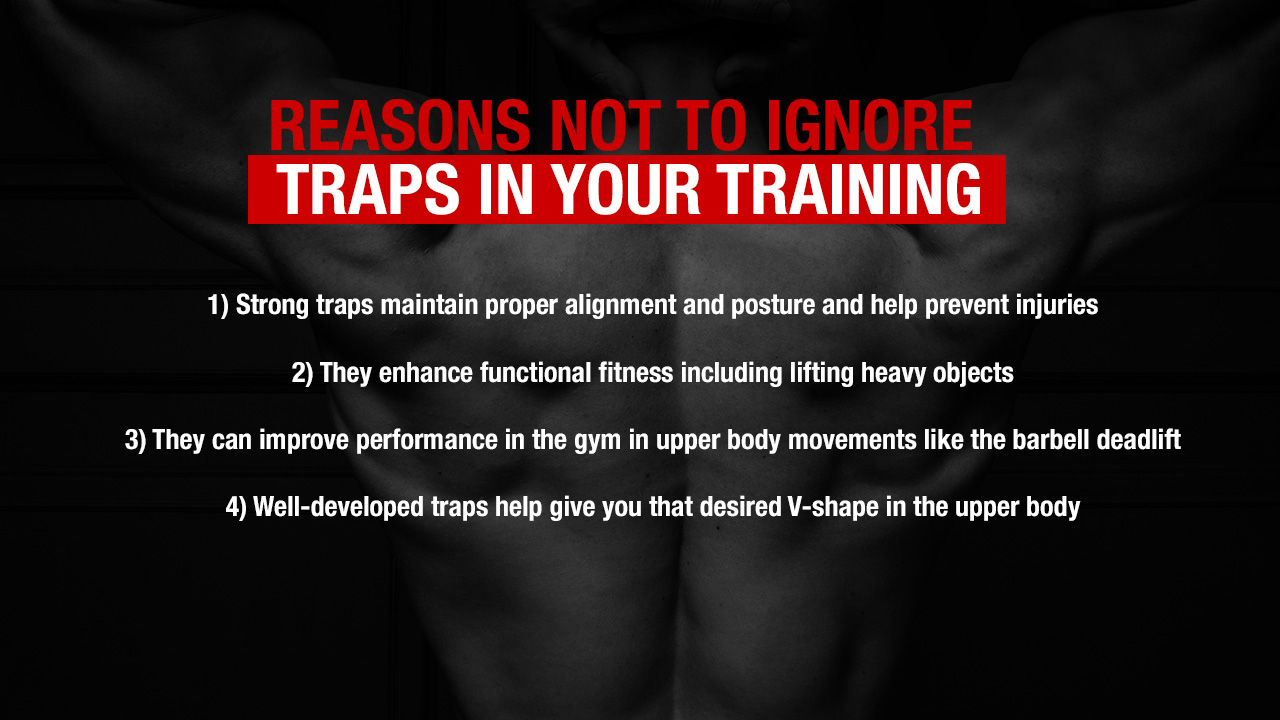Trap Workouts Best Exercises For Muscle & Strength