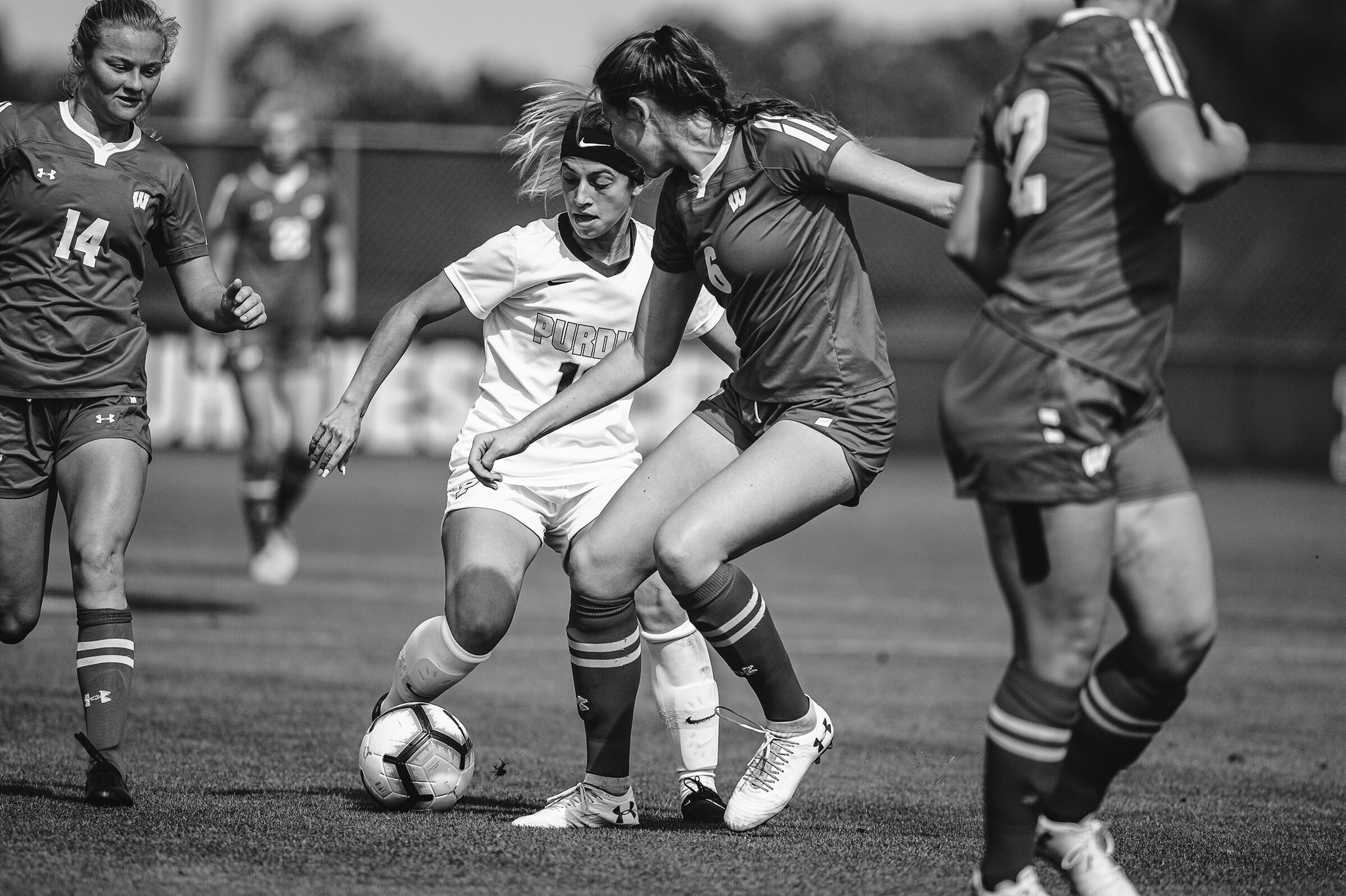 Idrottsstipendium på College i USA Athleticademix