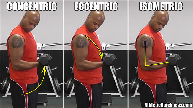 Concentric vs Eccentric How Do They Affect Your Squats?