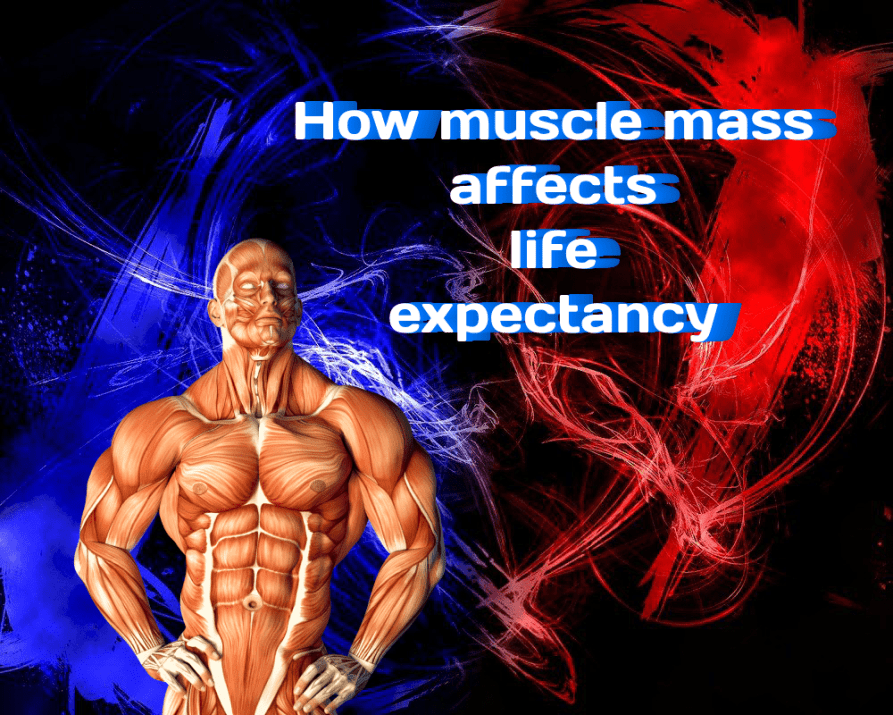 How muscle mass affects life expectancy Athletic Store