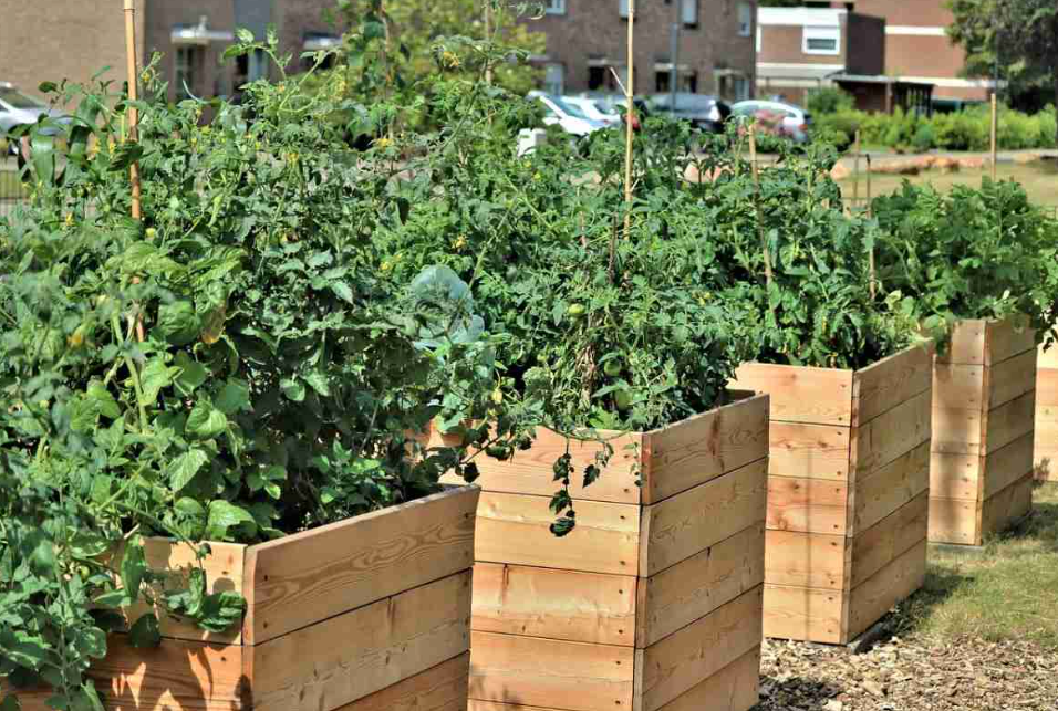 How To Build The Perfect Garden Bed For Your Home?