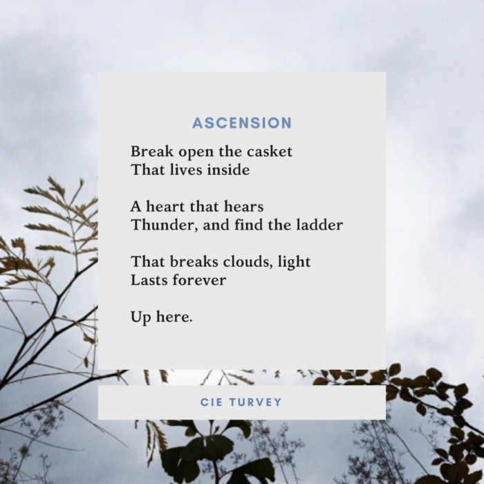 one line poetry a thousand furs