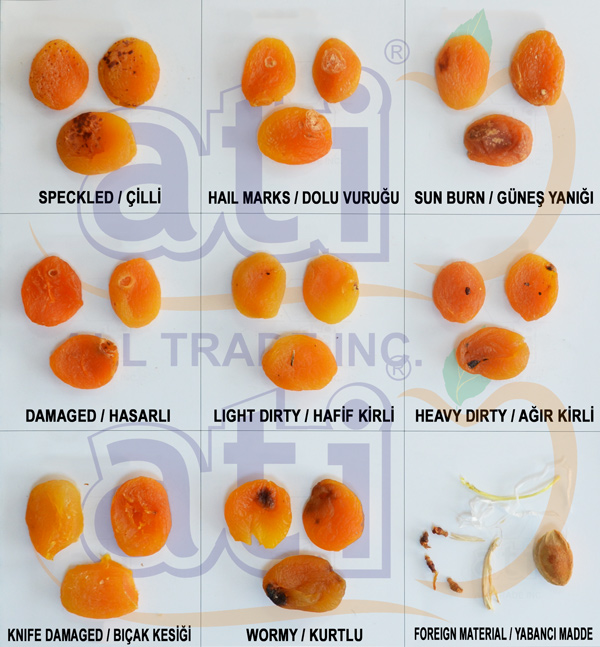 Natural Dried Apricot ATI GIDA