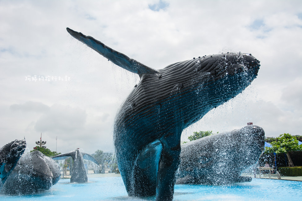 ｜親子旅遊｜國立海洋生物博物館，走進隧道進入美麗的海底世界