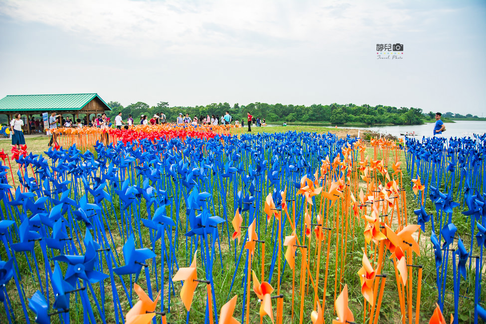 ｜台南景點｜德元埤荷蘭村，7000支彩色小風車迎接風車節到來