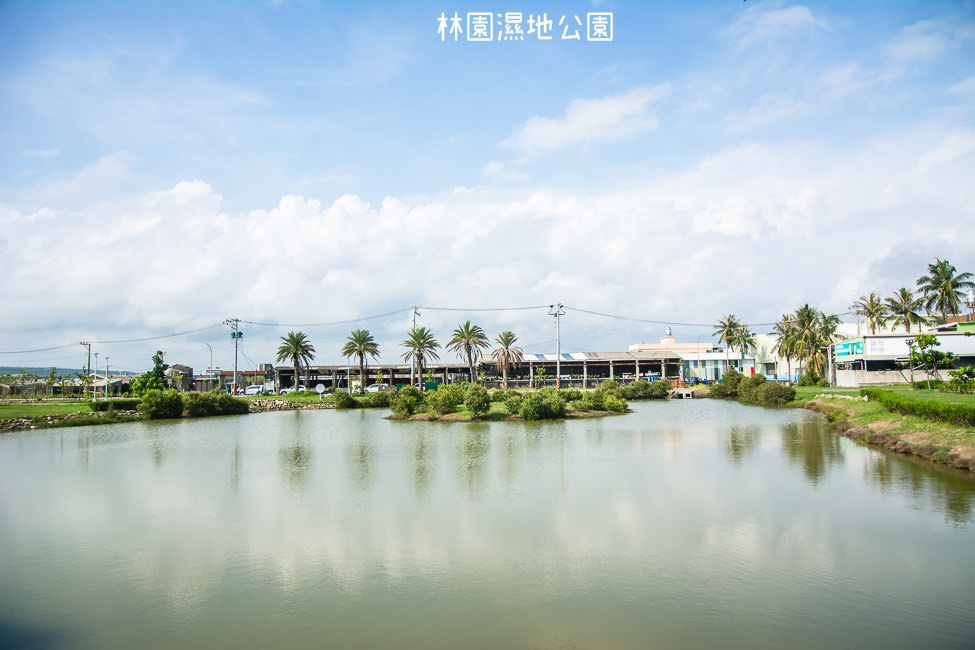 ｜高雄景點｜林園公12海洋濕地公園，全台唯一的水母瀉湖，季節對了就能看見倒立水母
