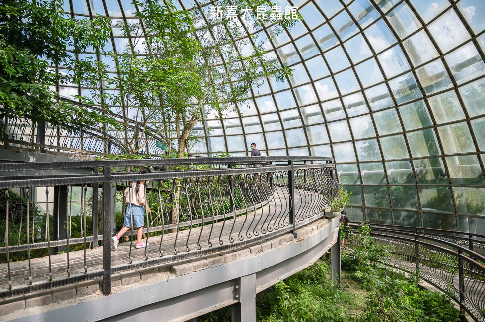 ｜嘉義景點｜新嘉大昆蟲館，超好拍夢幻蝴蝶溫室花園和全台唯一旋轉彩蝶柱