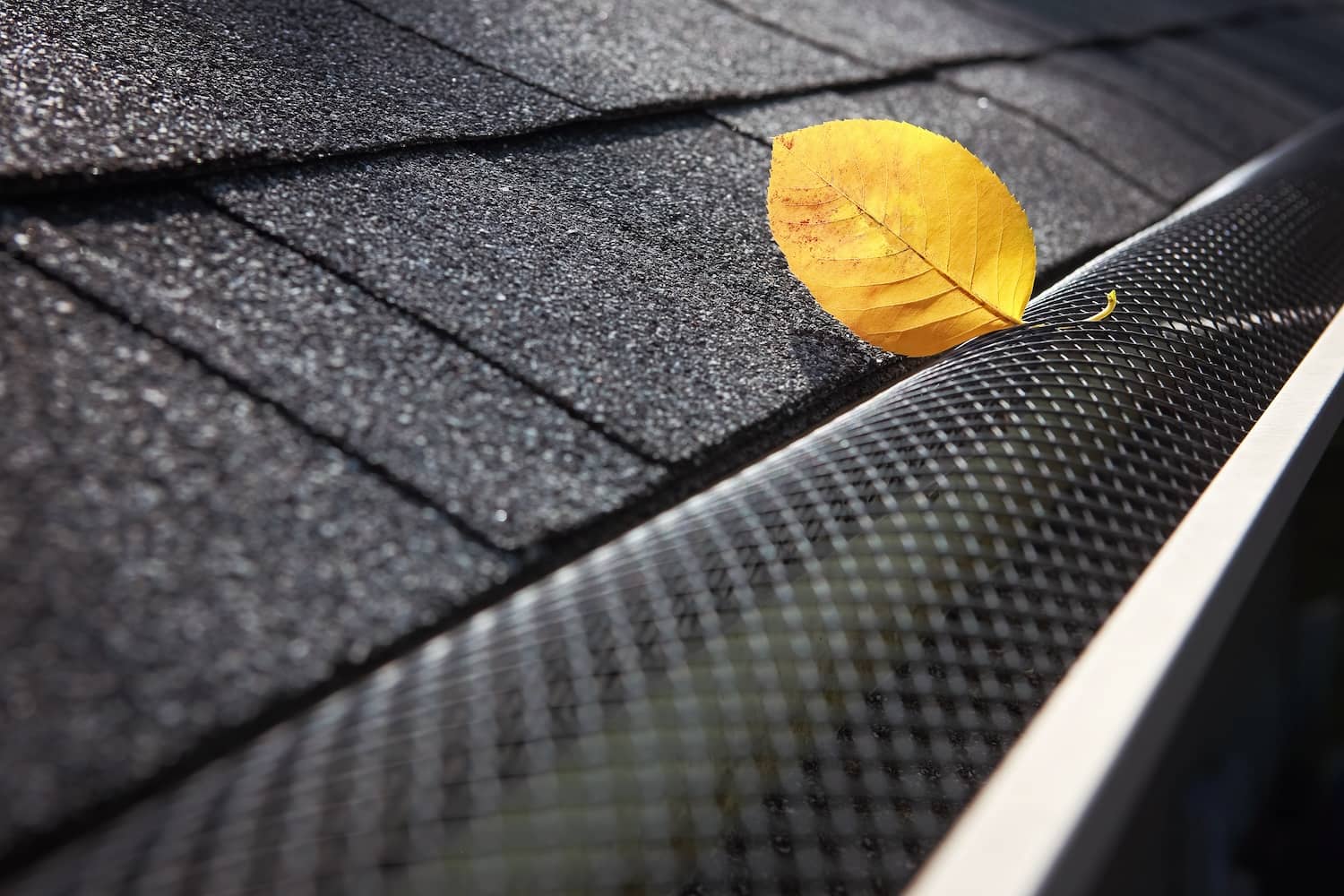 How To Clean Gutters With Guards Atkinson Inspection Services