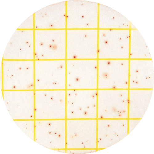 3M™ Petrifilm™ Aerobic Count Plates