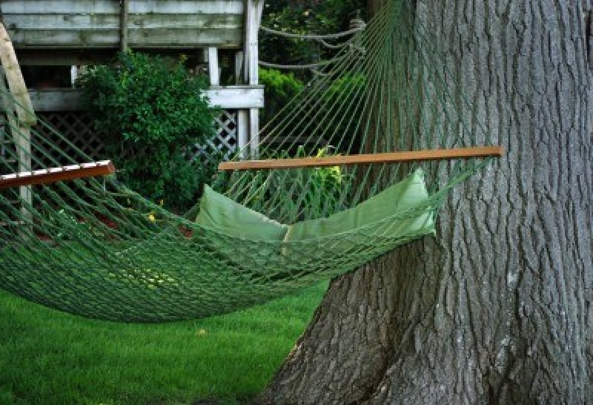 Avoid Costly Sandy Springs Tree Services by Hanging a Hammock Correctly