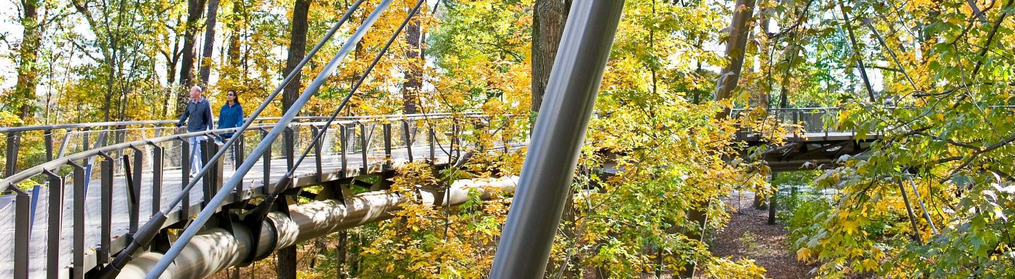 Atlanta Botanical Garden Tickets