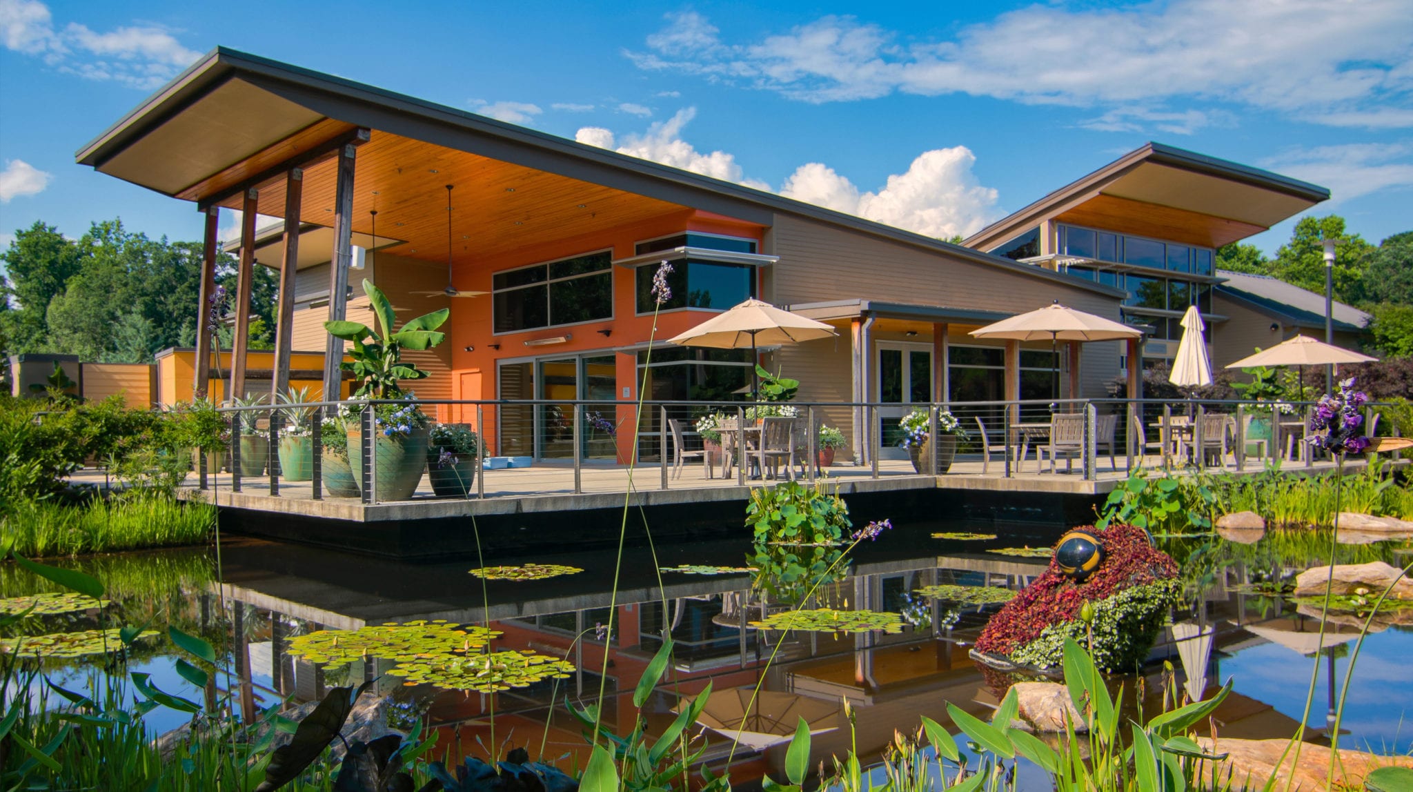 Are Dogs Allowed In Gainesville Botanical Gardens