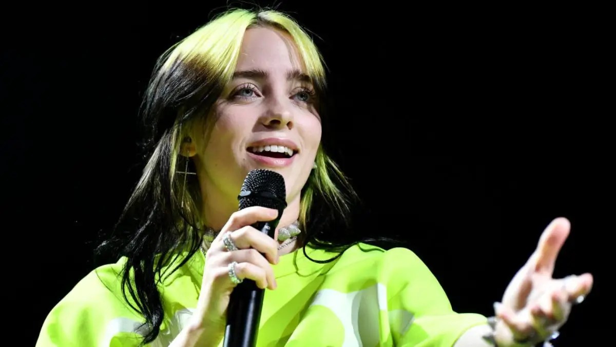 ‘OMG Her Face’ Billie Eilish Yanked Into Crowd By a Fan In Shocking