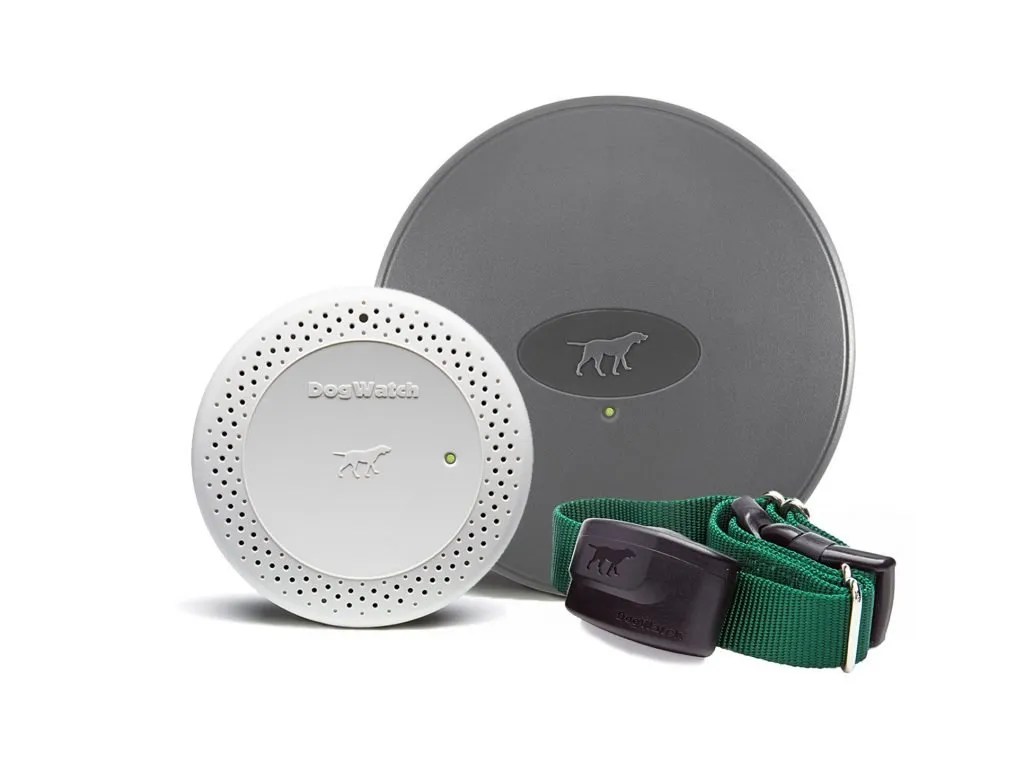 How Much Does A Dog Watch System Cost