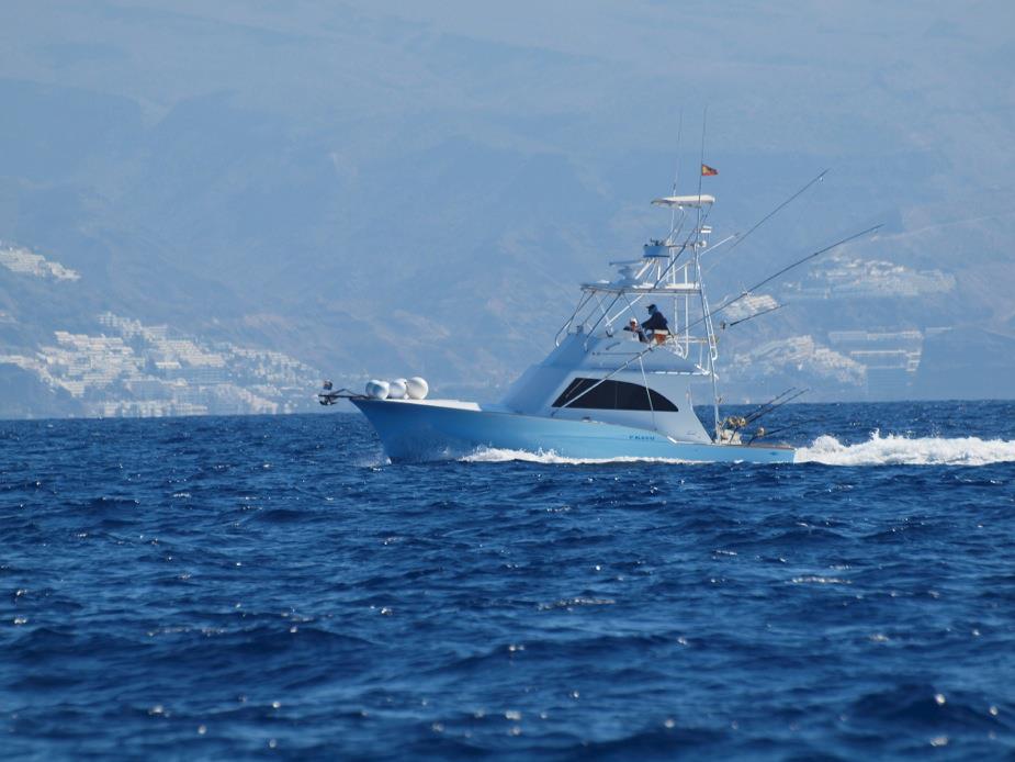 Fishing in the Canary Islands Atlantic Fishing Charter / AFC