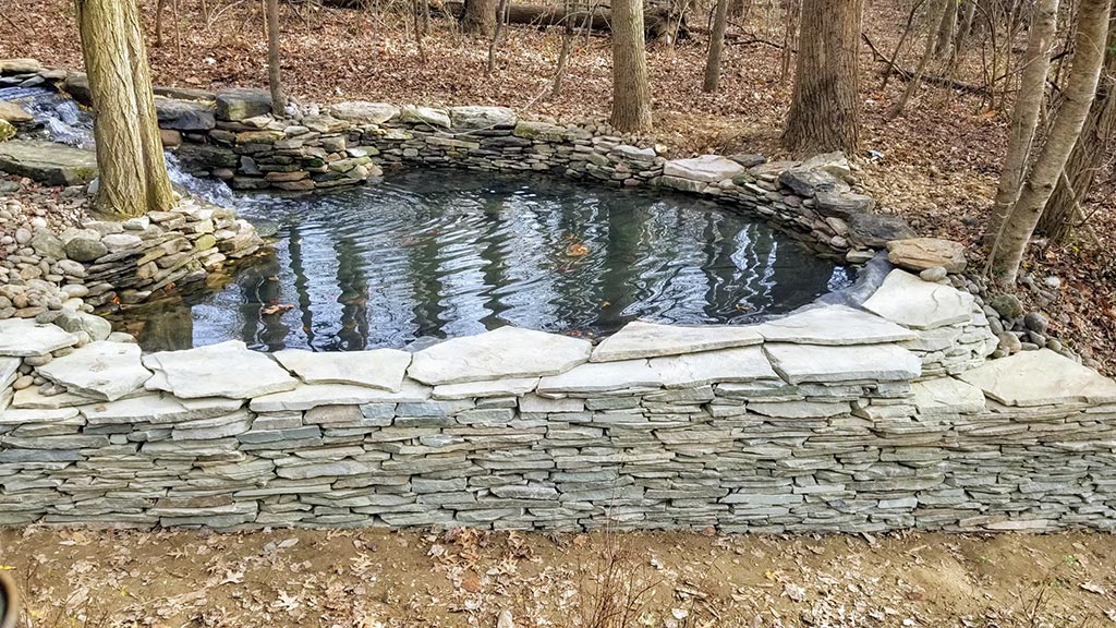 Pond Repairs and Inspections Atlantic Ponds