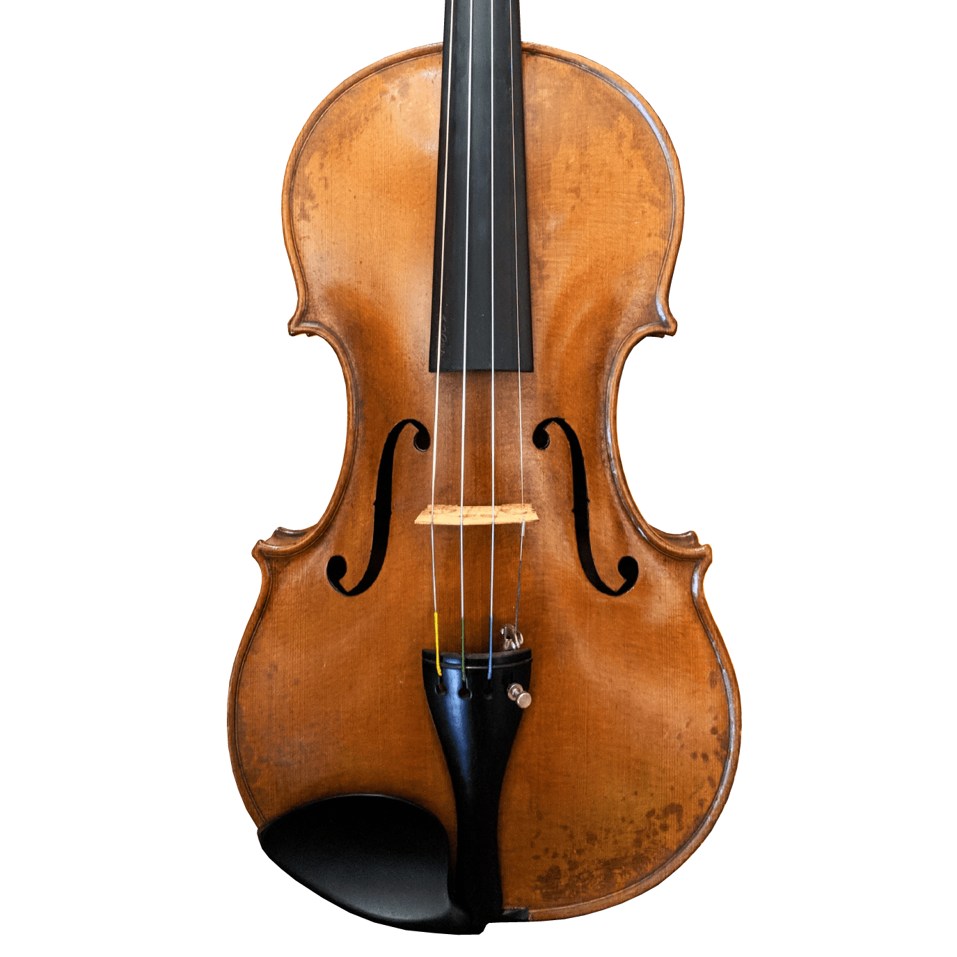 Morelli Violin Atlantic Strings Violin Shop