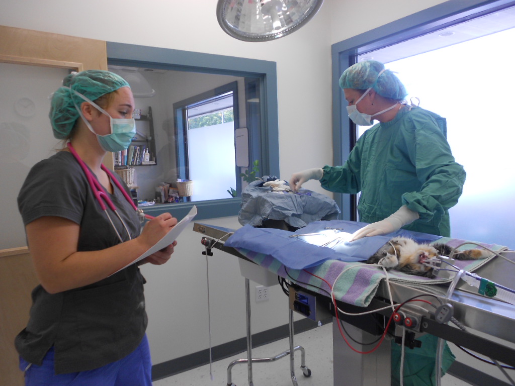 Take A Tour Atlantic Vet Care