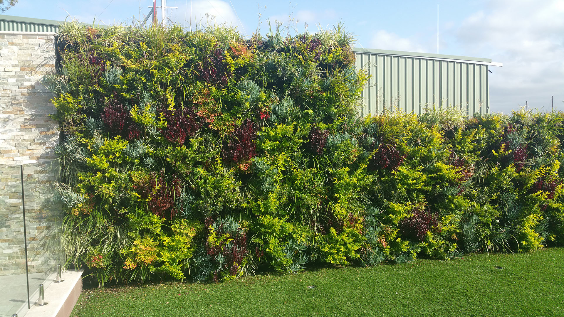 Birkenhead Point Apartment Green Wall Avada Architecture