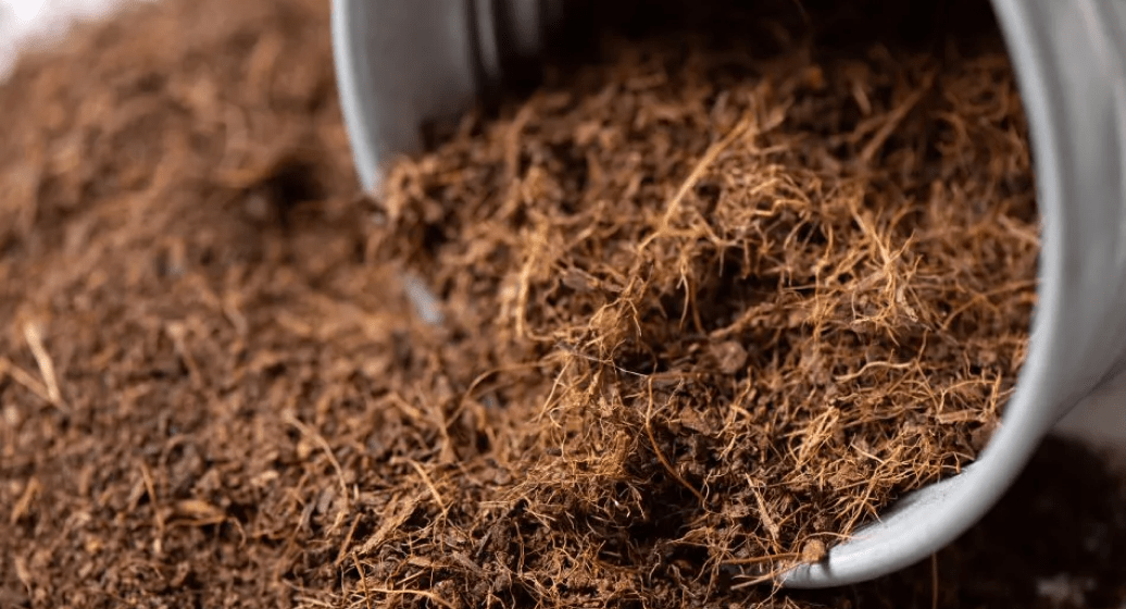 The best Coco Coir supplier from India. Superior quality guaranteed