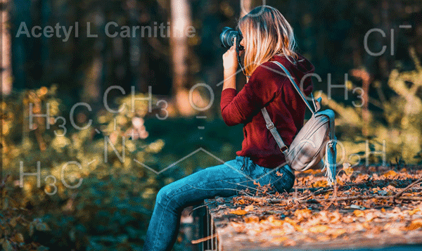 acetyl l carnitine