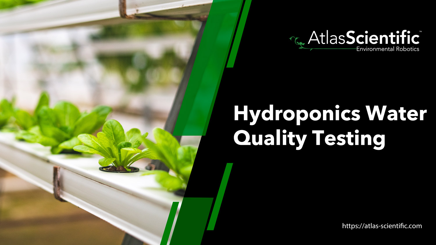 Hydroponic Water Testing Basics Atlas Scientific