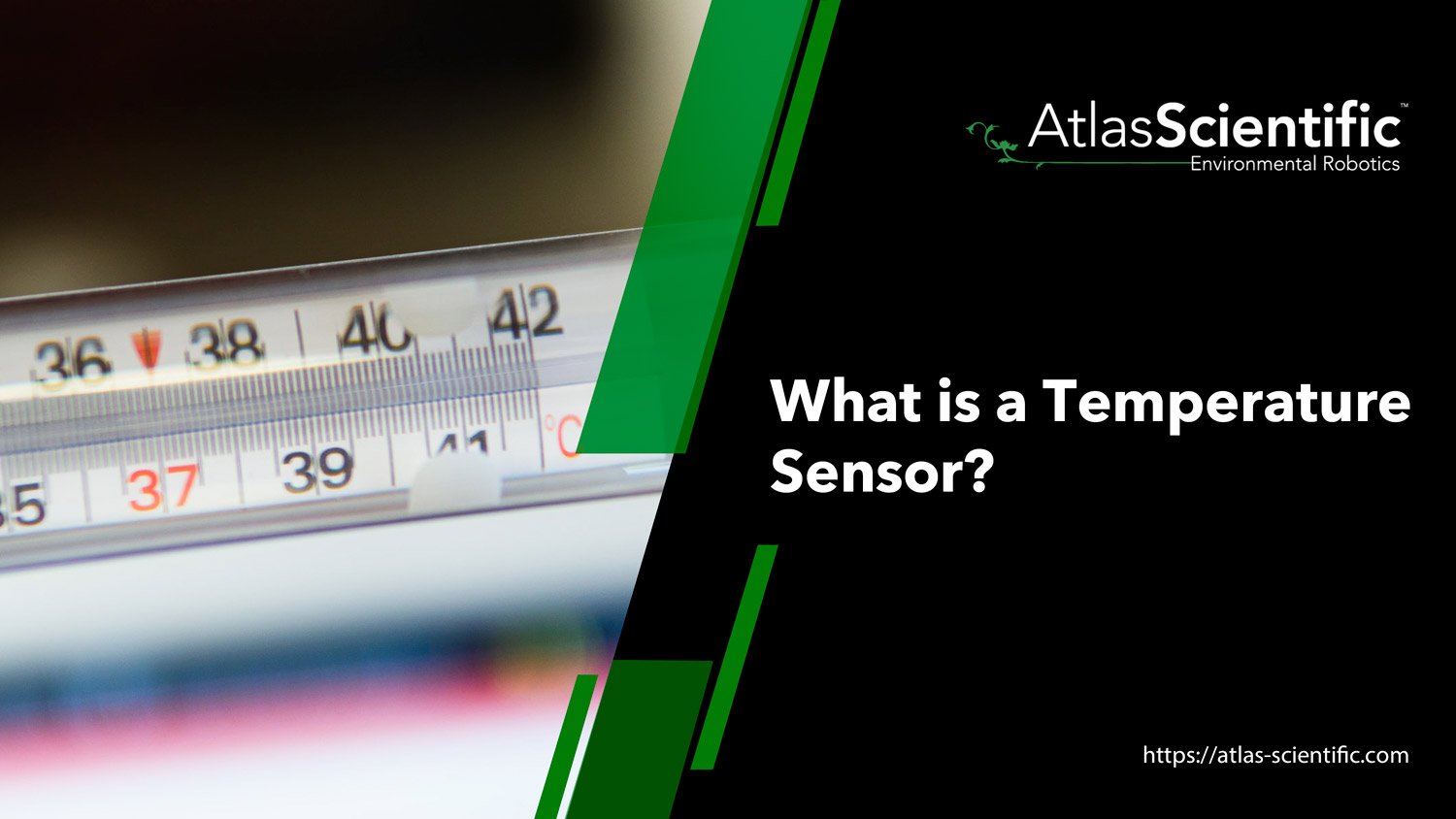 What is a Temperature Sensor? | Atlas Scientific