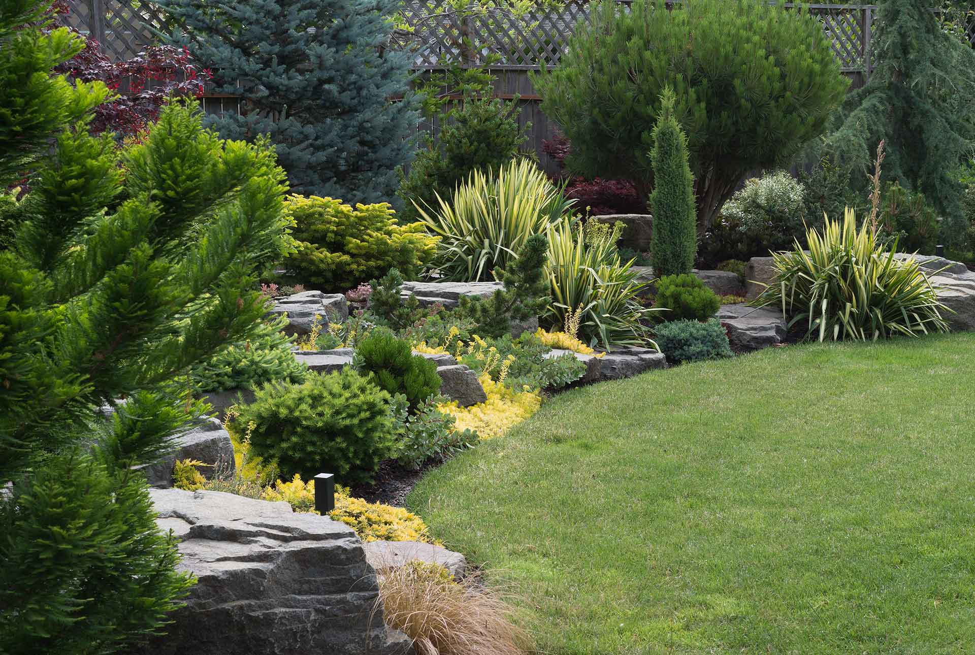 Tree Care in Sonoma County & Northern California Atlas Tree