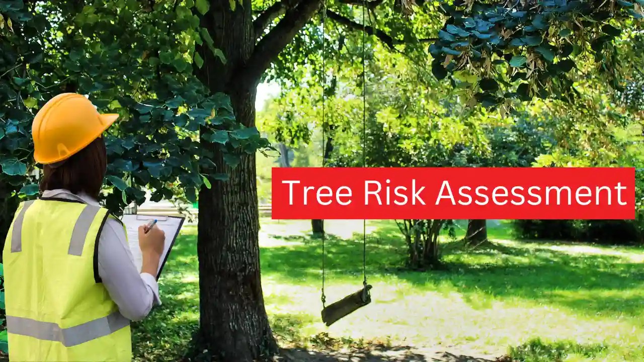 Tree Risk Assessment (TRAQ) Hire ISA Certified Arborists