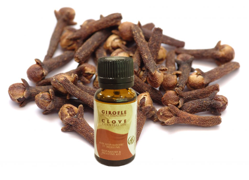 Clove essential oil atlas cosmetics