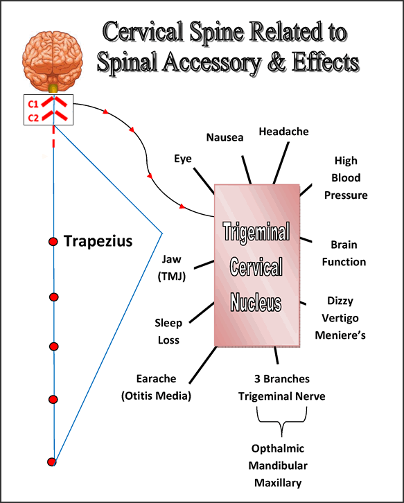 Symptoms Dr. Dennis W. Harding Chiropractor, Upper Cervical Specialist
