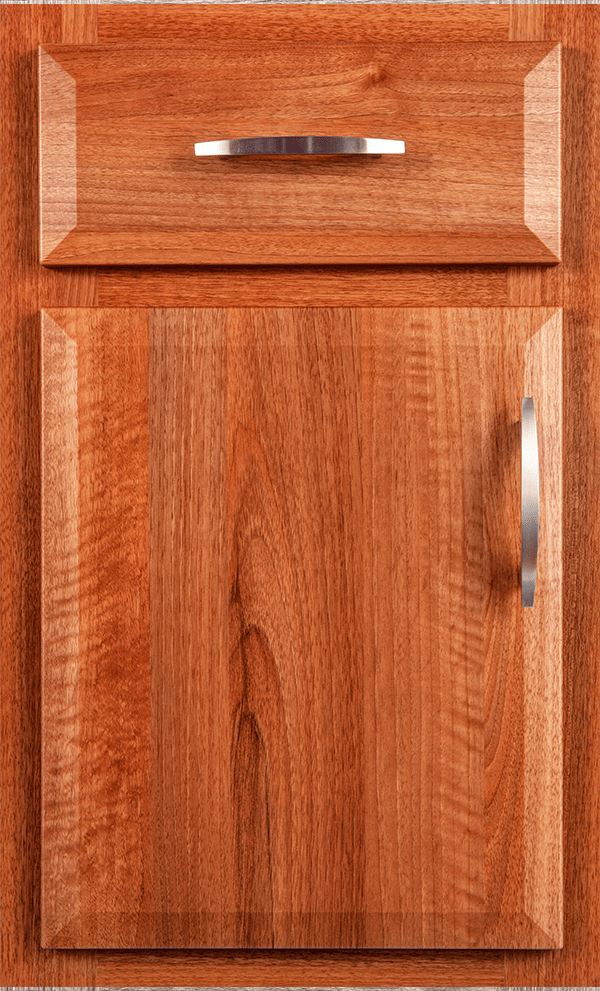 Door Options Atlas Home Improvement