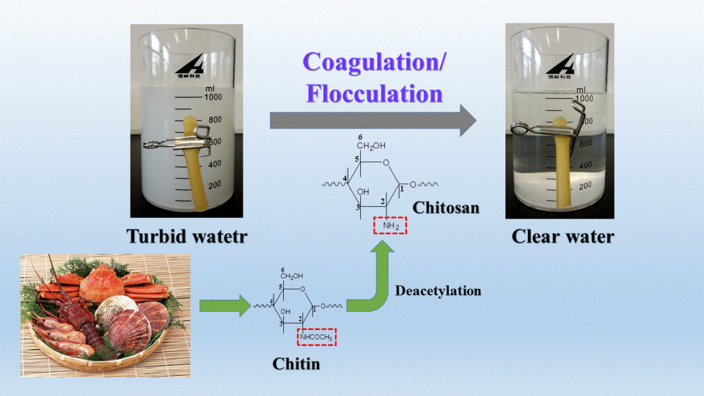 What is coagulation/flocculation and chitosanbased flocculants used in