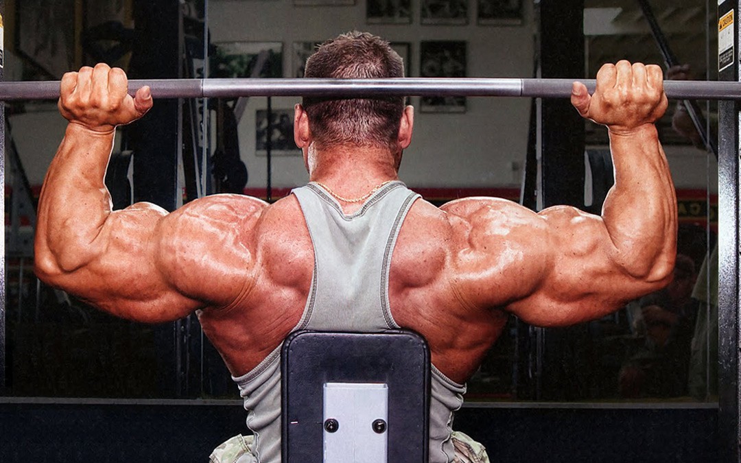 A training program with an emphasis on the deltoid