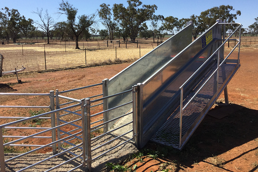 Sheepyard Loading Ramps Atlex Stockyards