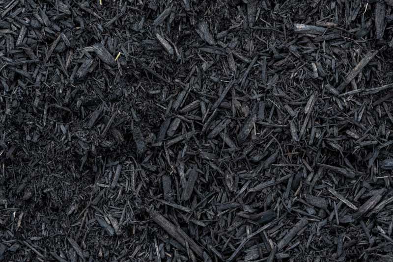 Atlanta Landscape Installations Atlanta Turf & Tree