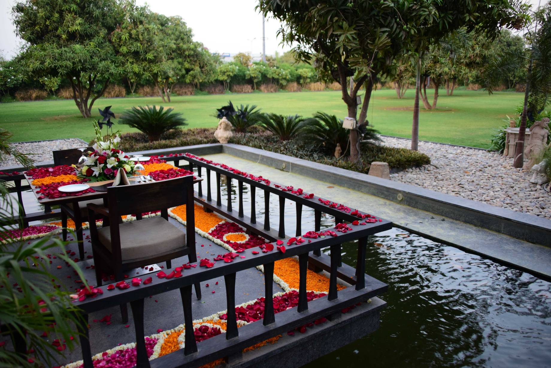 To The World Of Mango Mango