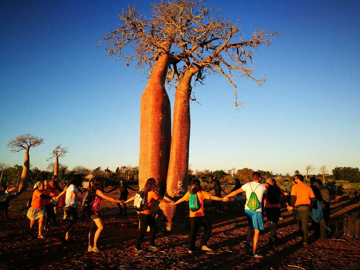 Qué ver en Madagascar Guía de viaje completa ¡A tomar por mundo!