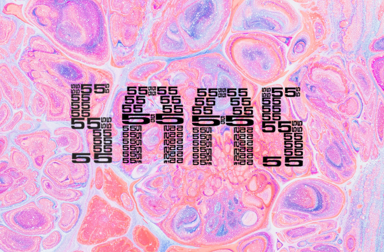 SAAS (Software As A Service). site Design Company Kelowna BC