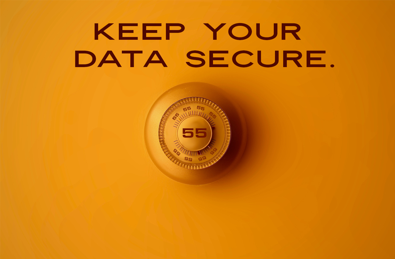 SAAS (Software As A Service). site Design Company Kelowna BC